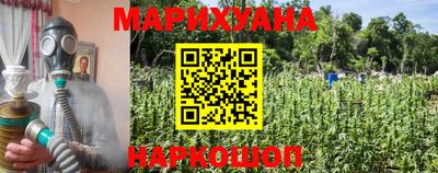 PSILOCYBIN Обнинск