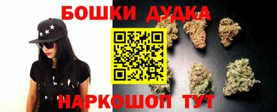 PSILOCYBIN Обнинск