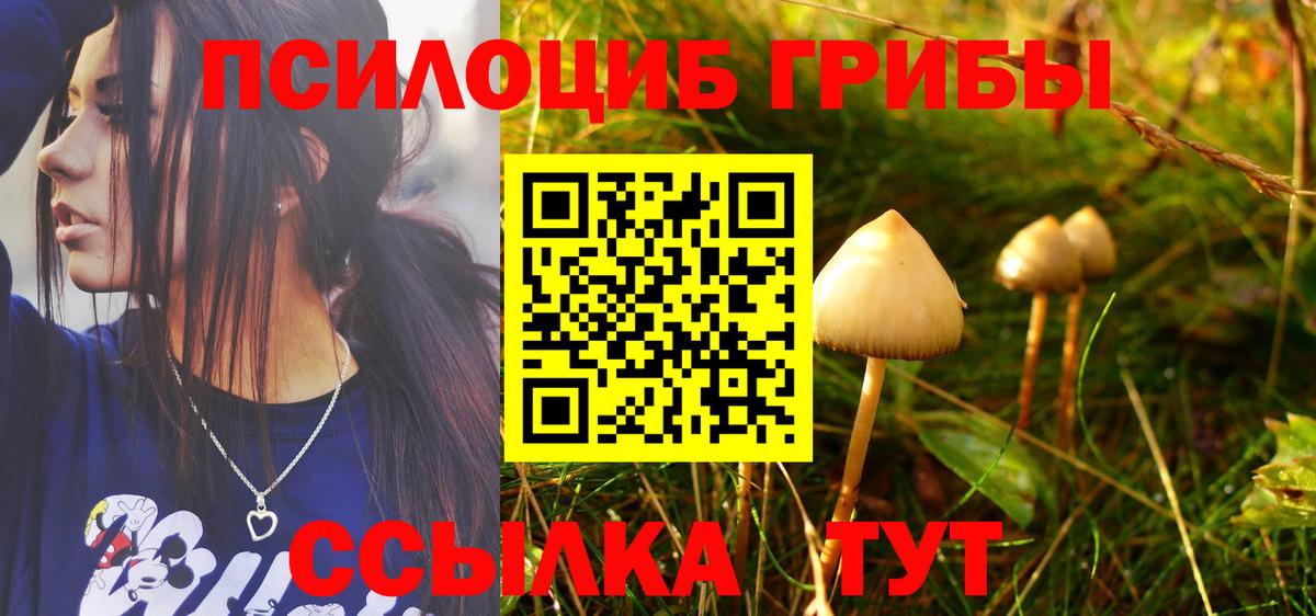 Псилоцибиновые грибы GOLDEN TEACHER Тихвин