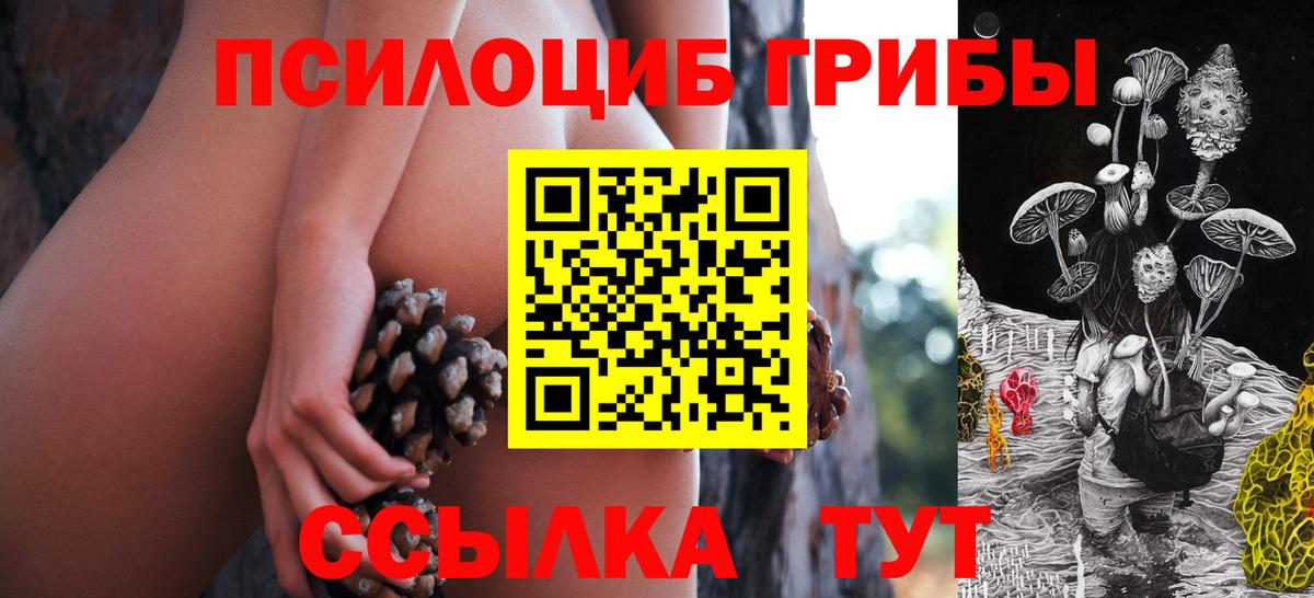 Псилоцибиновые грибы Cubensis  продажа наркотиков  Тихвин  Вход с VPN 